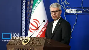 بقایی  به گزارشگر حقوق بشر پاسخ داد