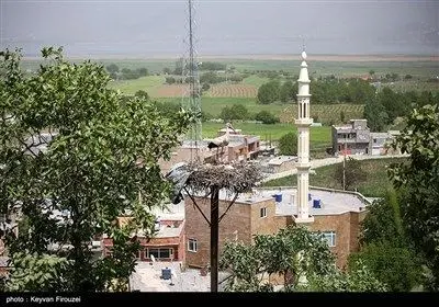 ساکنان روستا با ساخت آشیانه‌های ایمن روی درختان بلوط از لک‌لک‌ها حمایت می‌کنند تا از مرگ‌ومیر پرندگان به دلیل برق‌گرفتگی یا افتادن جوجه‌ها جلوگیری شود که نشان‌دهنده تعهد فرهنگی و زیست‌محیطی آن‌هاست.