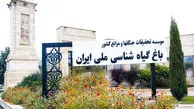 بی‌عملی شهرداری برای نجات پروژه ملی تهران

