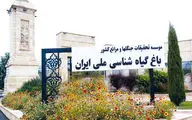 بی‌عملی شهرداری برای نجات پروژه ملی تهران

