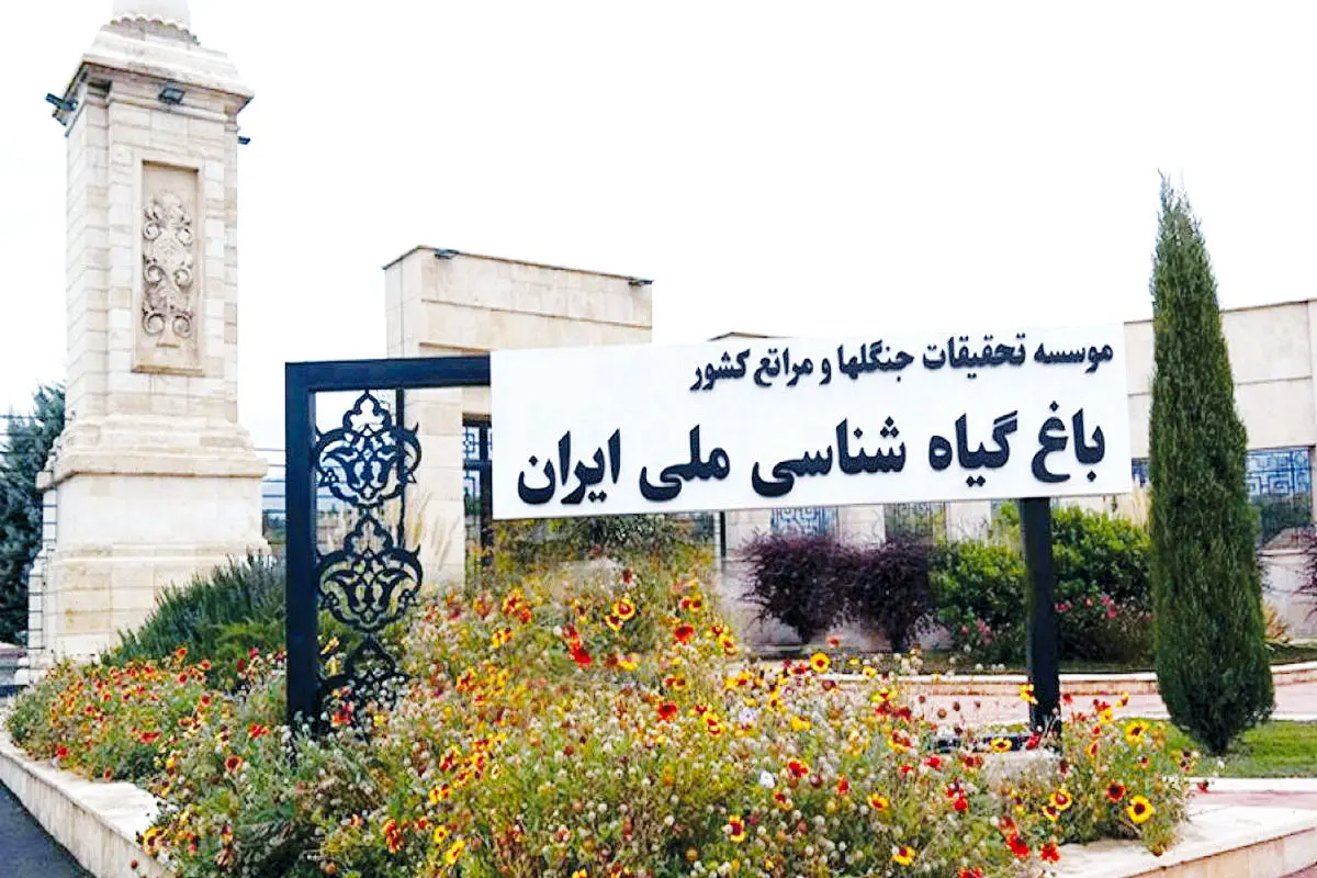 بی‌عملی شهرداری برای نجات پروژه ملی تهران

