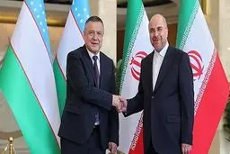 Iran, Uzbekistan parliament speakers hold meeting in Tehran