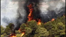 مرزبانی: ۲۶ هکتار از جنگل‌ های گیلان در آتش سوخت
