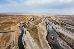 ‌گاوخونی در تنگنا