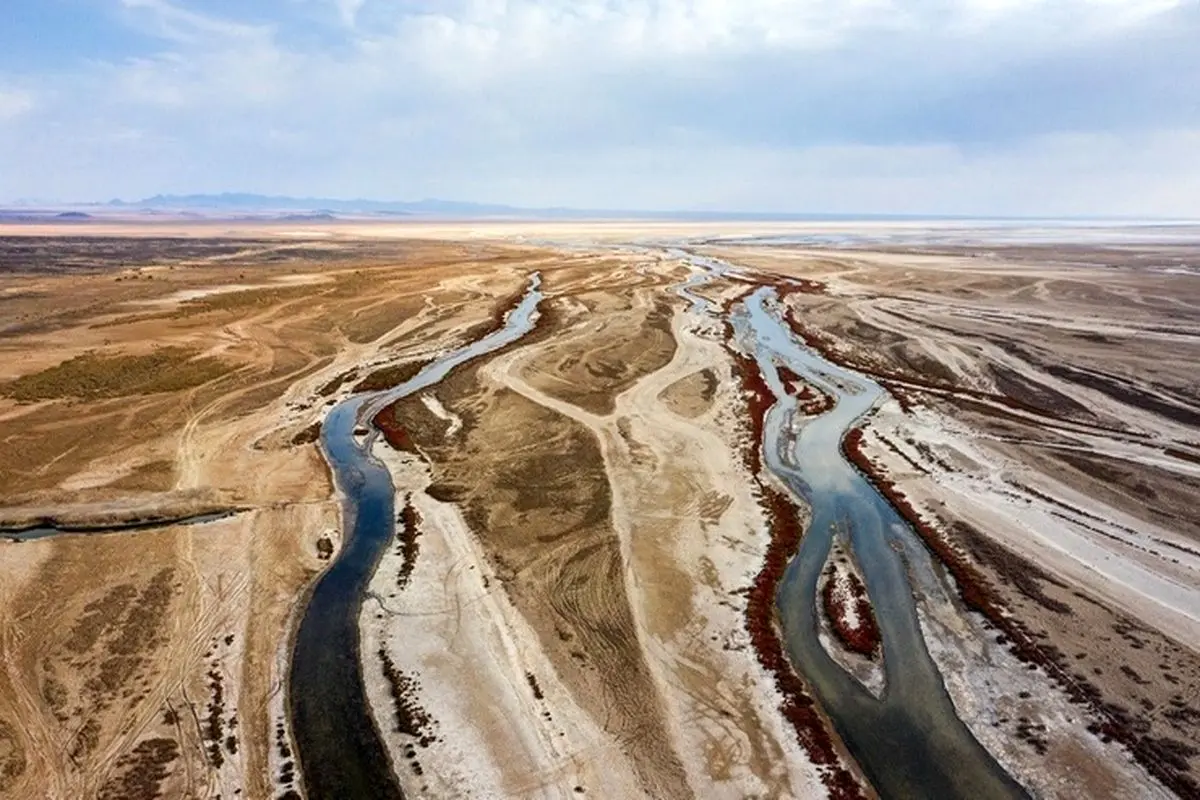 ‌گاوخونی در تنگنا