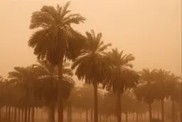 هوای خرمشهر، ناسالم/ وضعیت نارنجی هوا در ۶ شهر خوزستان


