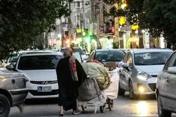 درآمد عجیب زباله‌گردی به روایت نماینده مجلس

