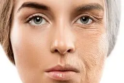 خوراکی‌هایی که پوست را بیمه می‌کنند!