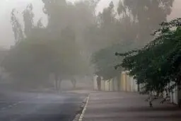 وزش باد شدید و رگبار در برخی از نقاط کشور

