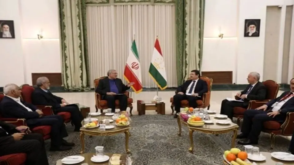 Iran, Tajik health ministers hold talks in Tehran