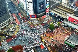 ۱۵ شهر شلوغ دنیا
