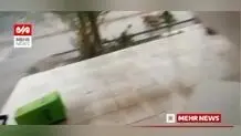 بارش باران در بندرعباس+ ویدئو