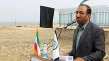یوزپلنگ ایرانی قدرت زادآوری را از دست داده است 