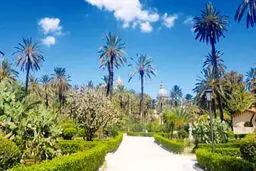 تاریخی با طعم آش شله‌‌قلمکار
