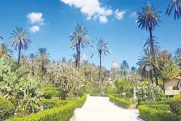 تاریخی با طعم آش شله‌‌قلمکار
