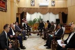Iran, Turkey pursuing ties within framework of Working Group