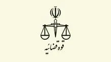 فردگرایی شبکه‌ای

