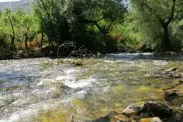 اخطار ۴۸ ساعته به متخلفان تصرف منابع آبی 
