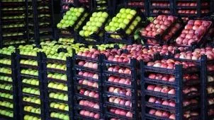 توزیع میوه شب عید با هدف ثبات قیمت و آرامش بازار انجام می‌شود
