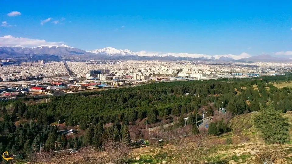 افشاگری جنجالی از پروژه جدید و ضددرخت زاکانی برای ساخت‌و‌ساز و قطع درختان «پارک سرخه حصار»/ تصاویر