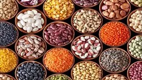 قیمت حبوبات در ماه رمضان و نوروز ۱۴۰۵ افزایش می‌یابد؟