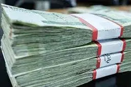 خطر نکول تسهیلات زیر  100 میلیارد تومان
