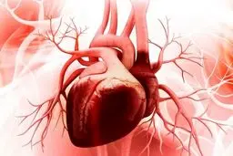 جراحی قلب زنده در کنگره قلب و عروق ایران
