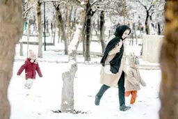 رقص و شادی جمعی در برف
