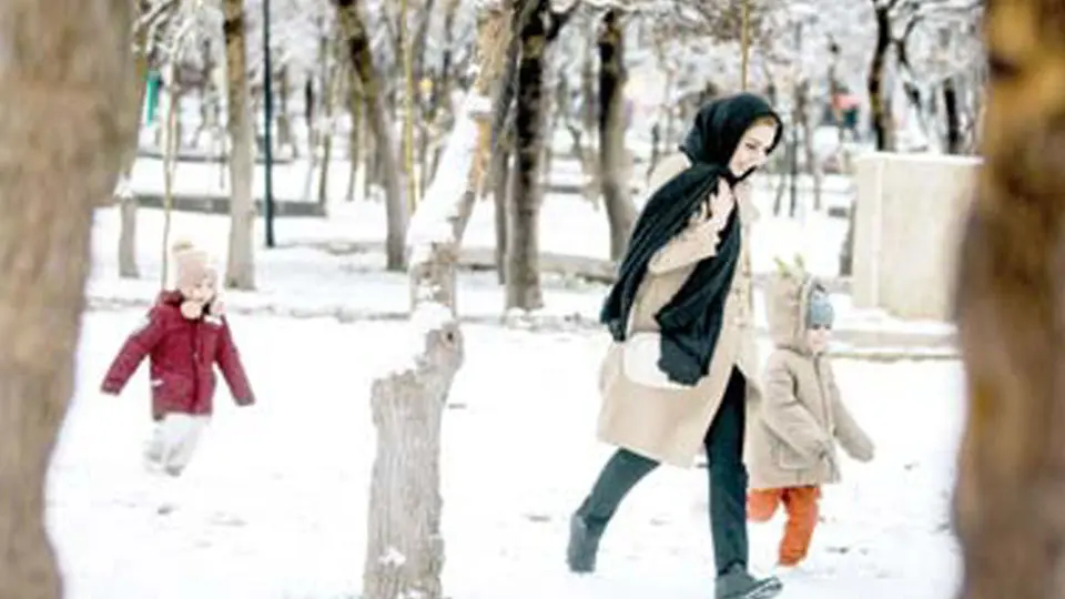 رقص و شادی جمعی در برف
