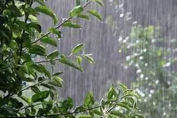 هشدار نارنجی هواشناسی برای ۱۸ استان


