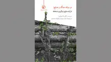 فرایندهای صلح و نزاع مسلحانه
