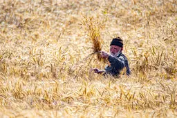 کشاورزان مقروض
