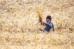 کشاورزان مقروض
