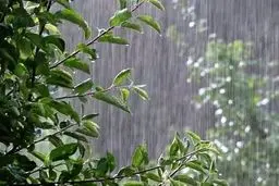 بارش پراکنده باران در شمال کشور/ هشدار نارنجی در ۲ استان

