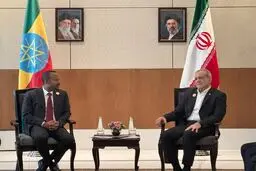  پزشکیان با نخست‌وزیر اتیوپی و انور ابراهیم نخست وزیر مالزی دیدار کرد / ما نیاز به ژاندارم منطقه نداریم 