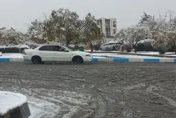 فارس برف پوش می شود
