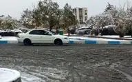 فارس برف پوش می شود
