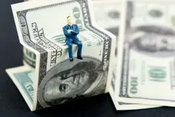 افشای لیست متخلفان ارزی ۱۴۰۲؛ اسامی متخلفان سال‌های پیشین نیز منتشر می‌شود