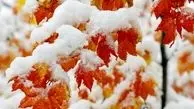 هشدار نارنجی سازمان هواشناسی/ باران، برف و کولاک در ۲۰ استان

