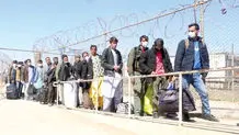ایتالیا قوانین مهاجرتی را سخت‌تر می‌کند‌ 