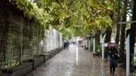 بارش باران و کاهش دما در پایتخت از ۲۲ تا ۲۵ فروردین ماه
