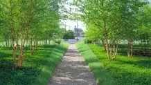 پایان باز یک داستان

