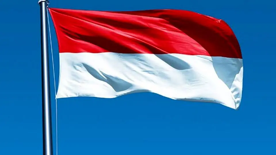 حل مشکل عدم صدور ویزا اندونزی برای ملی پوشان هندبال