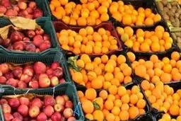 تنظیم بازار میوه شب عید به بخش خصوصی واگذار شد
