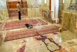 حکم اعدام دو تن از عاملان حمله به حرم شاهچراغ تأیید شد‌/ این احکام به‌زودی اجرا می‌شود

