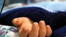دانش‌آموز زرندی در زنگ ورزش جان باخت