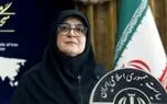 سخنگوی دولت: القای ناکارآمدی دولت، تضعیف سرمایه اجتماعی است/ ناامیدسازی بخشی از طراحی دشمن است