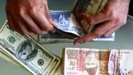 پاکستان برای مقابله با پول تقلبی، اسکناس پلاستیکی چاپ می‌کند