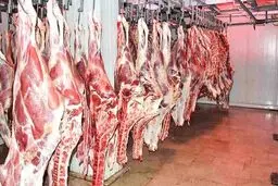 مافیا در تلاش است تا قیمت گوشت قرمز را افزایش دهد.

