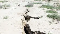 هشدار شورای استان تهران به فاجعه خاموش تهران

